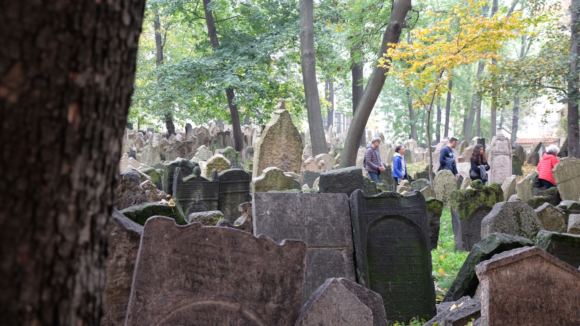 Old-Jewish-Cemetery.jpg